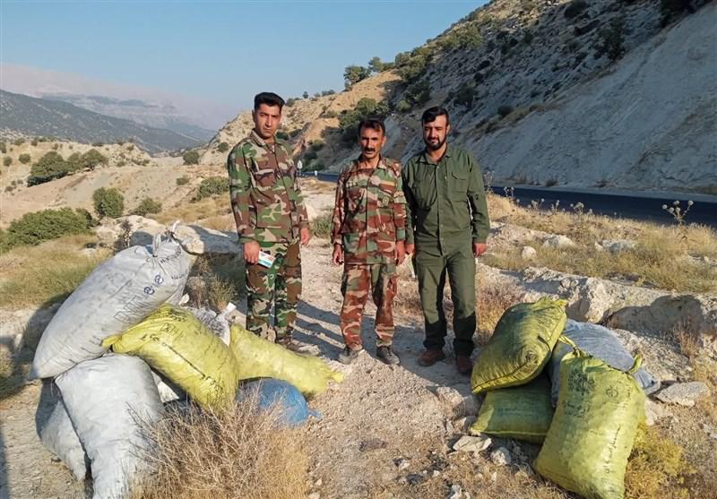 شناسایی متخلف با یک تن زغال بلوط در باشت