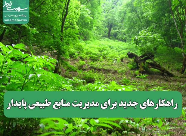 راهکارهای جدید برای مدیریت منابع طبیعی پایدار