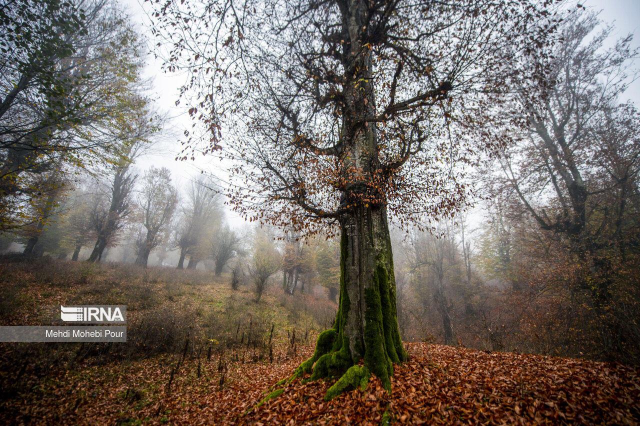 پیش‌بینی ترسناک هواشناسی از پائیز جهنمی