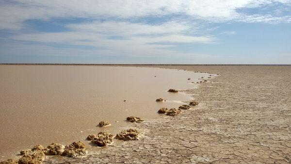 افغانستان مقصر خشک شدن هامون است؟