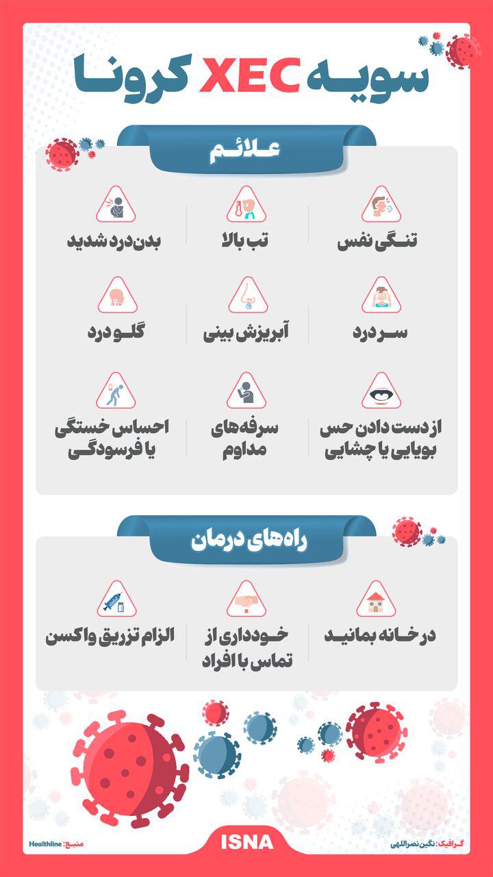 سویه جدید کرونا با نام «XEC»/اینفوگرافیک