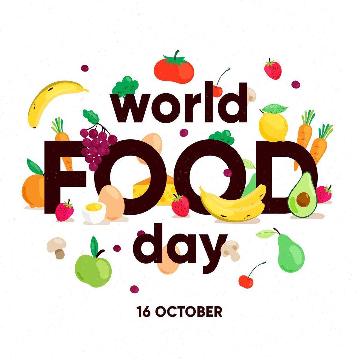 روز جهانی غذا ۲۰۲۴ World Food Day + شعار و پوستر/ کشورهایی با بیشترین هدررفت غذا