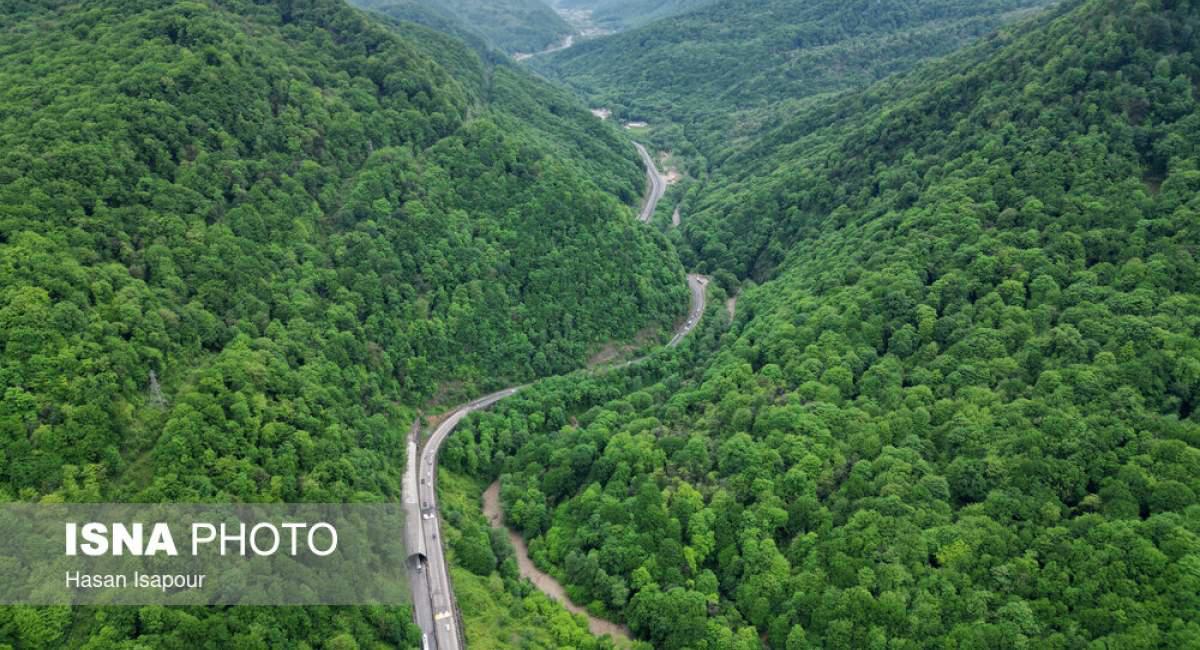 جاده جنگلی سوادکوه در استان مازندران