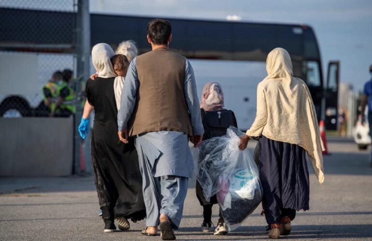 سخنگوی کمیسیون شوراها در گفت‌وگو با : طرح «تاسیس سازمان ملی مهاجرت» از دستور کار خارج نشده است/ بررسی پیشنهاد اقامت یک تا هفت سال برای اتباع   خبرگزاری بین المللی