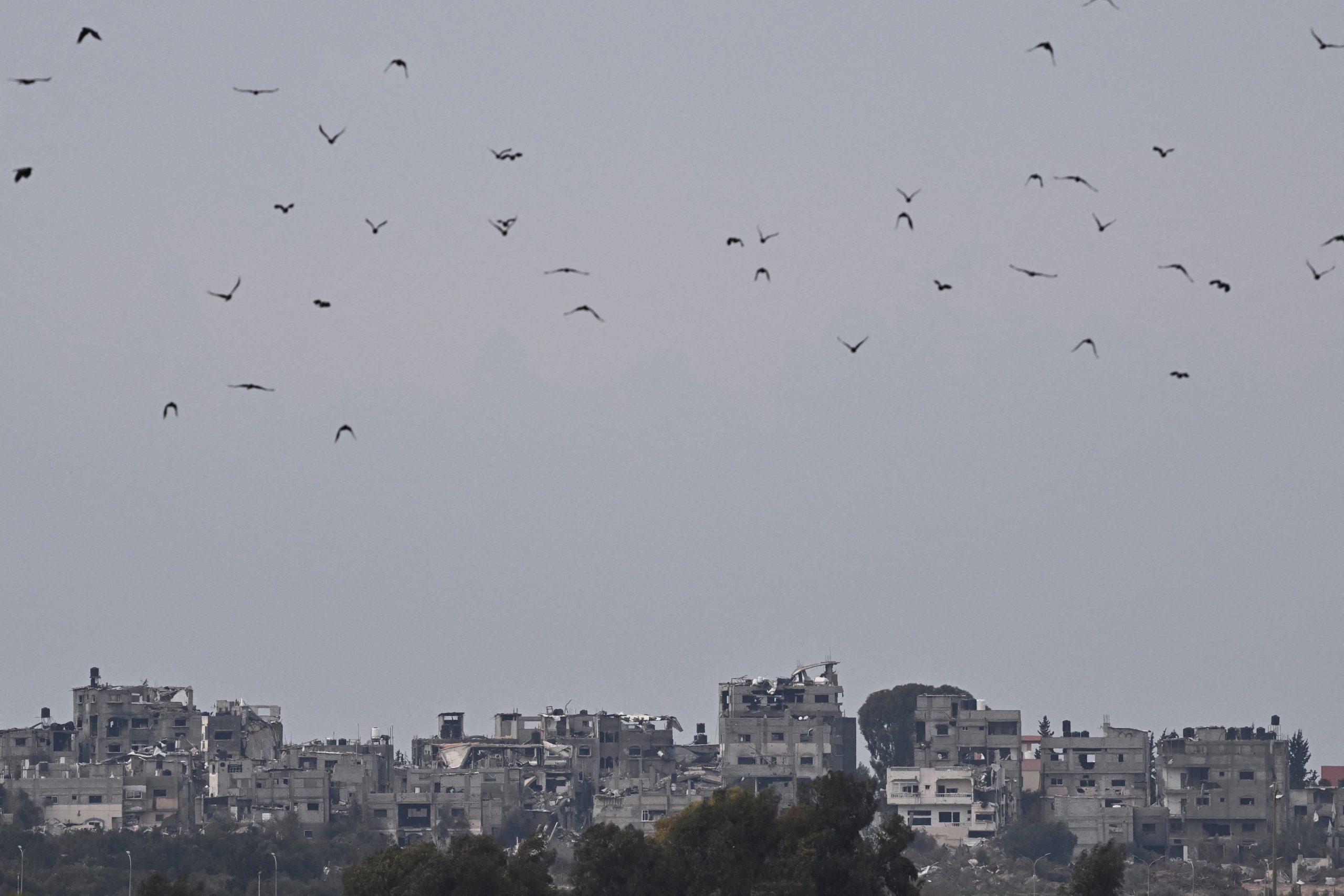 بزرگترین نهاد حقوق فلسطینیان در اروپا: «مردم فلسطین درحال سپری کردن تاریک‌ترین لحظات هستند»   خبرگزاری بین المللی