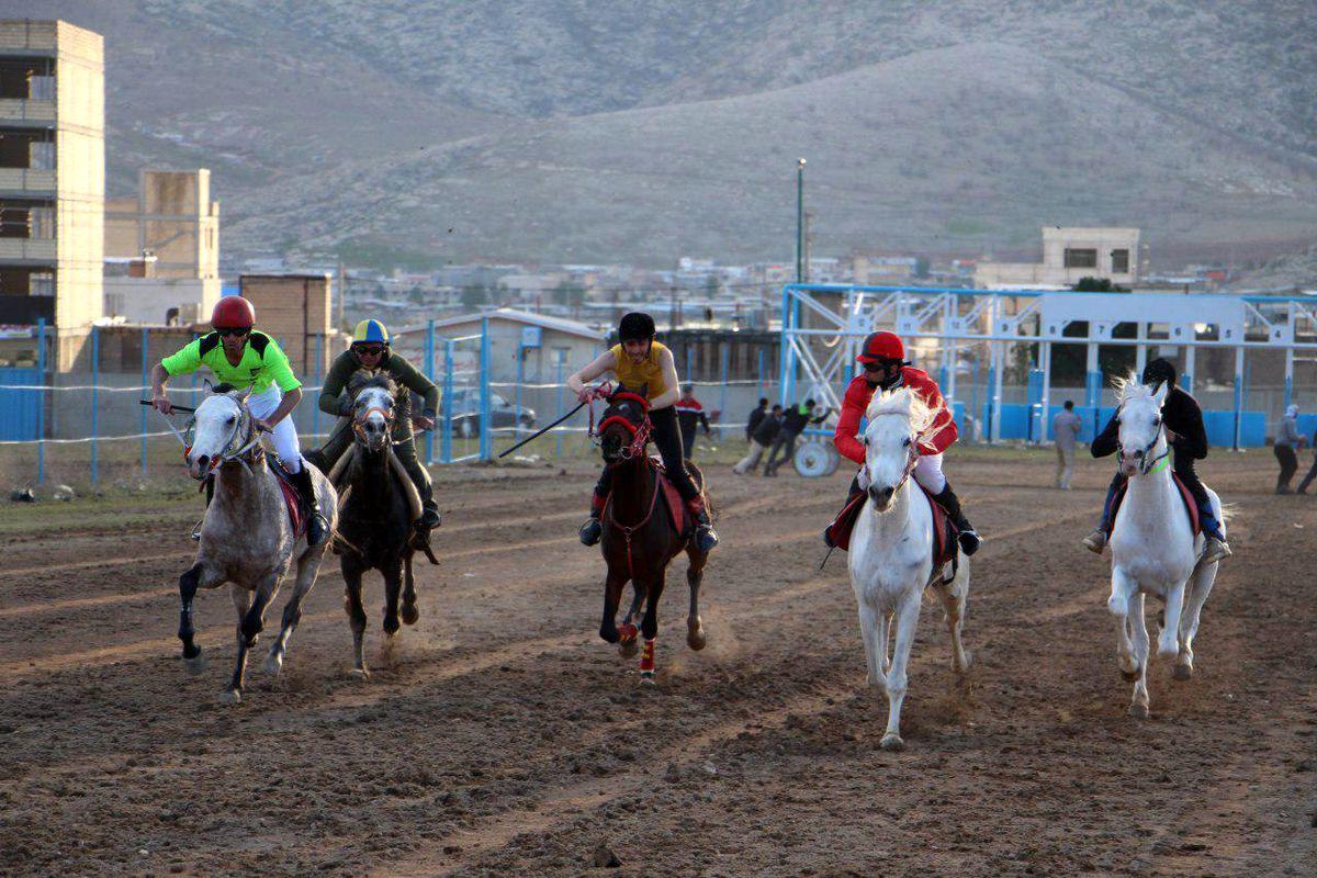 تاخت و تاز سوارکاران لرستانی در کشور