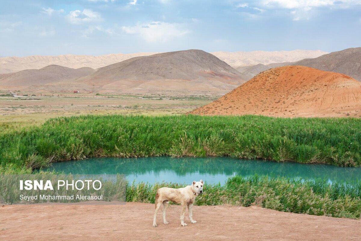 (تصاویر) تالاب تاریخی «سی سر»