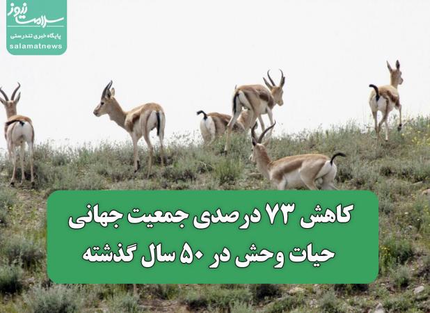 کاهش ۷۳ درصدی جمعیت جهانی حیات وحش در ۵۰ سال گذشته