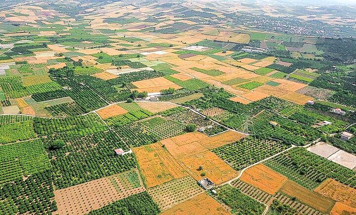 خشکی زاینده‌ رود و کاهش ۱۵ درصدی تولیدات کشاورزی اصفهان  توسعه زیرساختهای گردشگری