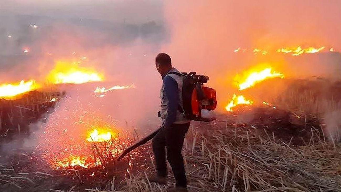 آتش سوزی بزرگ در مزارع استان لرستان خط و نشان در مردان آتش افروز