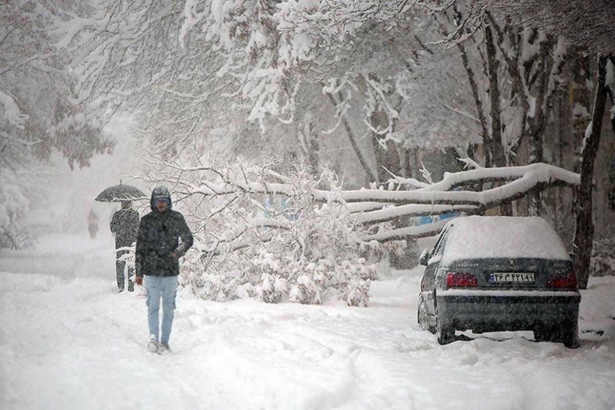 بارش ۵۰ سانتی‌متر برف در این استان