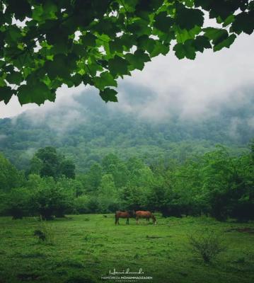 منطقه زیبای سوادکوه مازندران