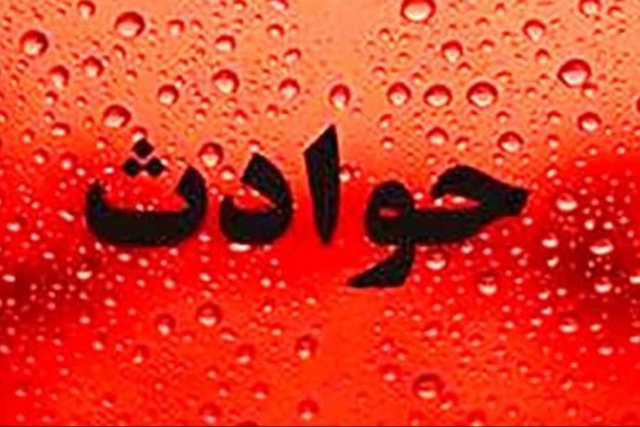 دختر 13 ساله در پی اعتصاب غذا جان خود را از دست داد