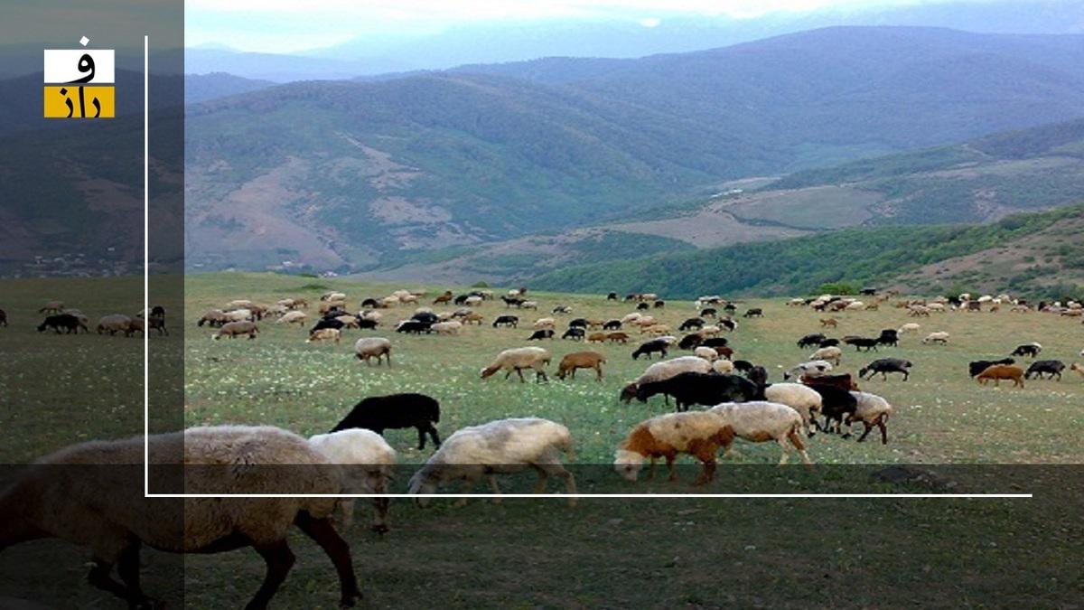 آتش چوپانان خارجی بر خرمن مراتع ایران