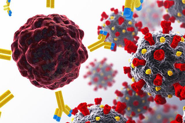 کووید ۱۹، راهنمای محققان برای درمان‌های جدید سرطان   خبرگزاری بین المللی