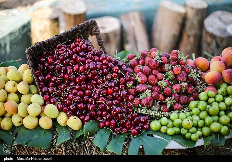 گردشگری حوزه کشاورزی نطنز مغفول مانده است