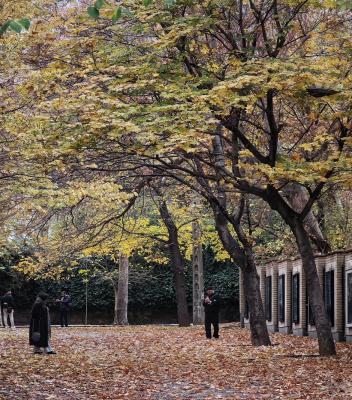 عکس گرفتن جوانان در پاییز زیبای تهران