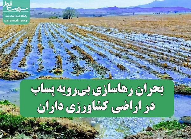 بحران رهاسازی بی‌رویه پساب در اراضی کشاورزی داران