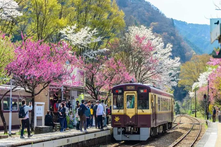 راهنمای سفر ارزان به ژاپن؛ نکات طلایی برای مدیریت هزینه‌ها