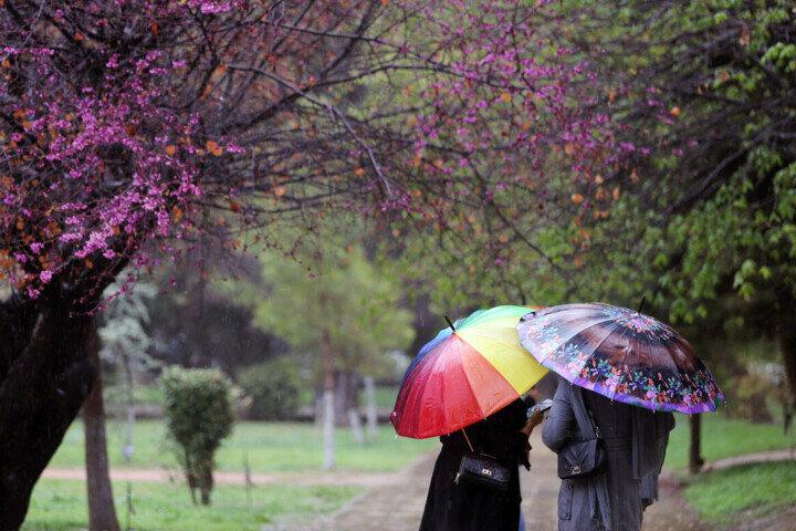 سال بارشی خوبی در راه است    افزایش ۲۲۹ درصدی بارندگی‌ در یک استان  تا دیروز بارش‌ها ۲۱ درصد بیشتر از پارسال بوده است + جزئیات