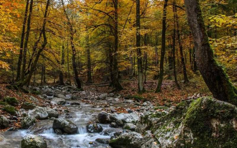 پاییز‌منطقه کوهستانی فریم صحرا در مازندران   تصاوير بزرگ