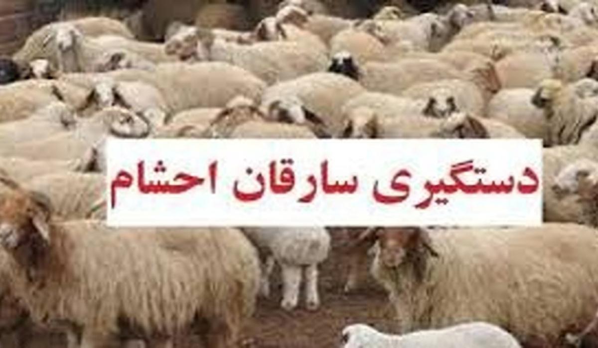 دستگيری 4نفر سارق احشام در شهرستان بويراحمد