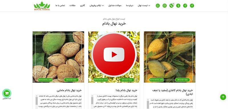 از بذر تا طعم خوش بادام، طلای سفید کشاورزی ایران در رویال نهال