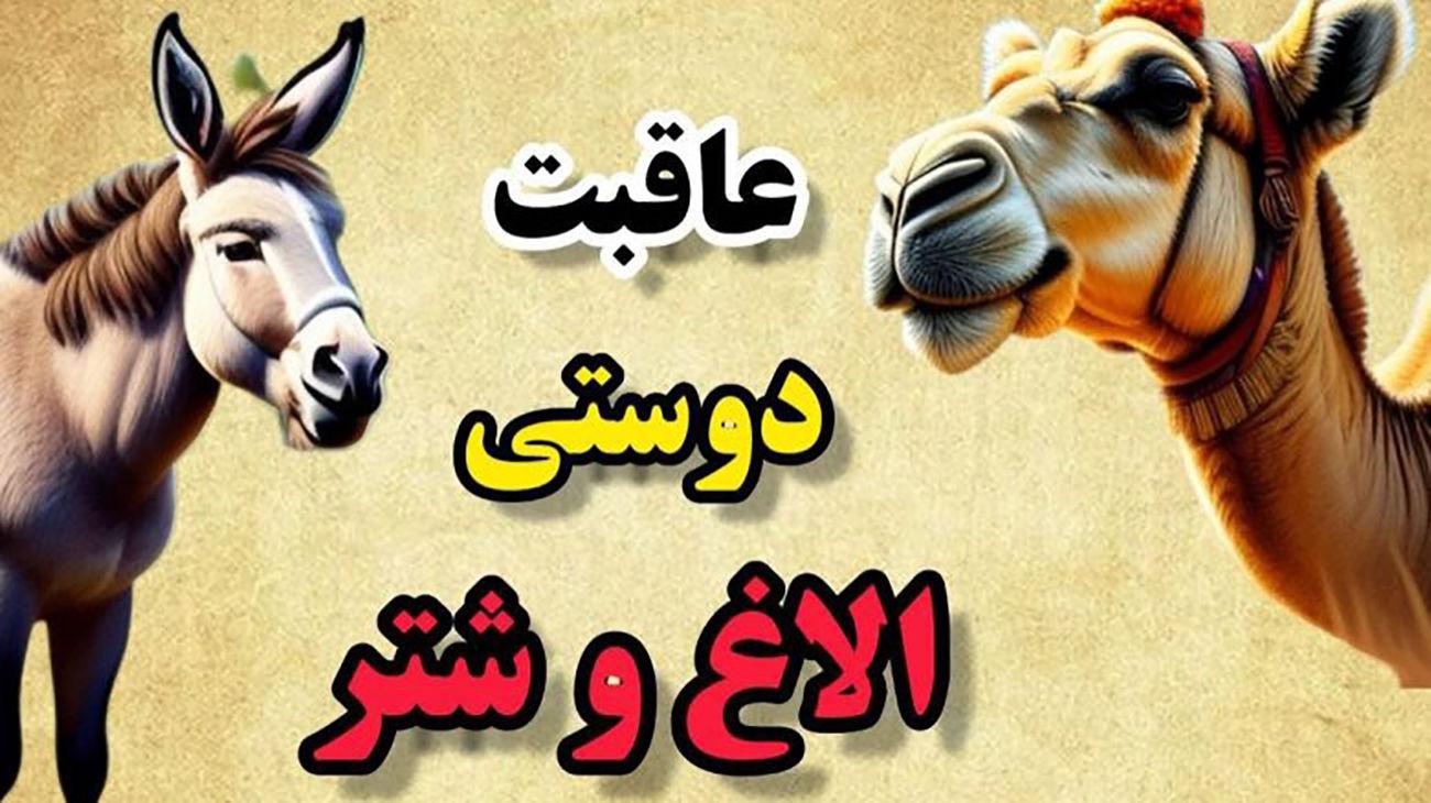 داستان دوستی الاغ و شتر   داستان هر سخن جایی و هر نکته مکانی دارد!