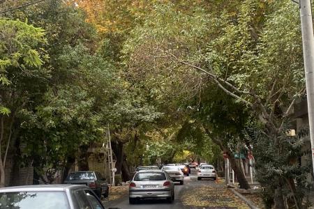 زیبایی خیره کننده یکی از خیابان‌های تهران