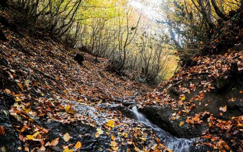 زیبایی مسحورکننده گردنه حیران در پاییز   تصاوير بزرگ