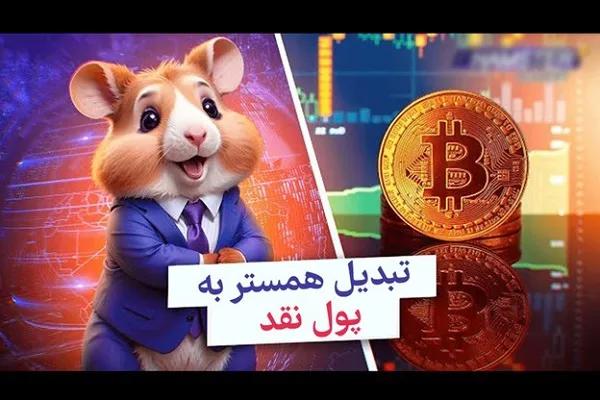 قیمت همستر/قیمت توکن همستر کامبت امروز یکشنبه ۱۴۰۳/۸/۲۷