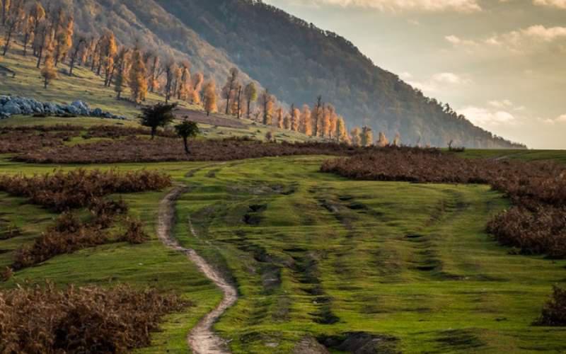 پاییز‌دشت مرکوه، یک بهشت‌رنگارنگ و‌بی‌نظیر   تصاوير بزرگ