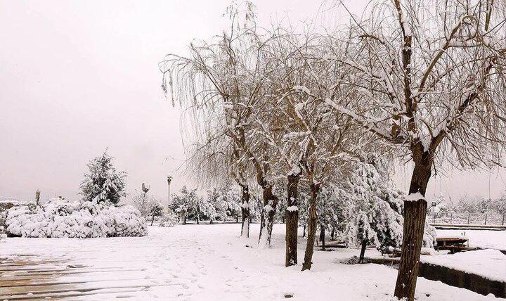 بارش برف در ایران از این تاریخ + هشدار سطح نارنجی برای کشور