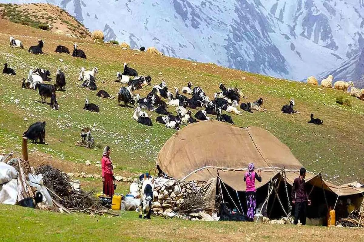 آمادگی صندوق عشایر برای پوشش بیمه ای سرپرستان خانوار