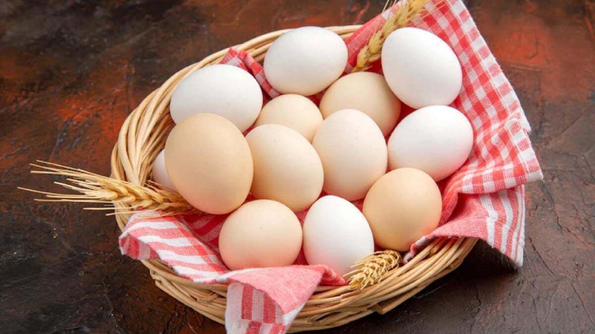 قیمت تخم مرغ در بازار امروز ۹ فروردین ۱۴۰۳