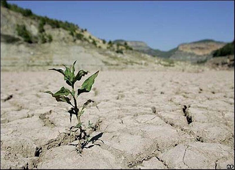 کدام مناطق ایران در معرض خشکسالی شدید هستند؟