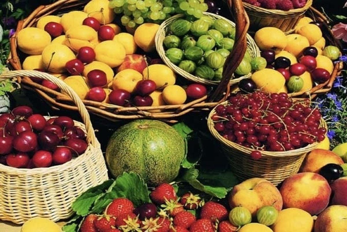 این ۵ میوه تابستانی شما را لاغر می‌کند!