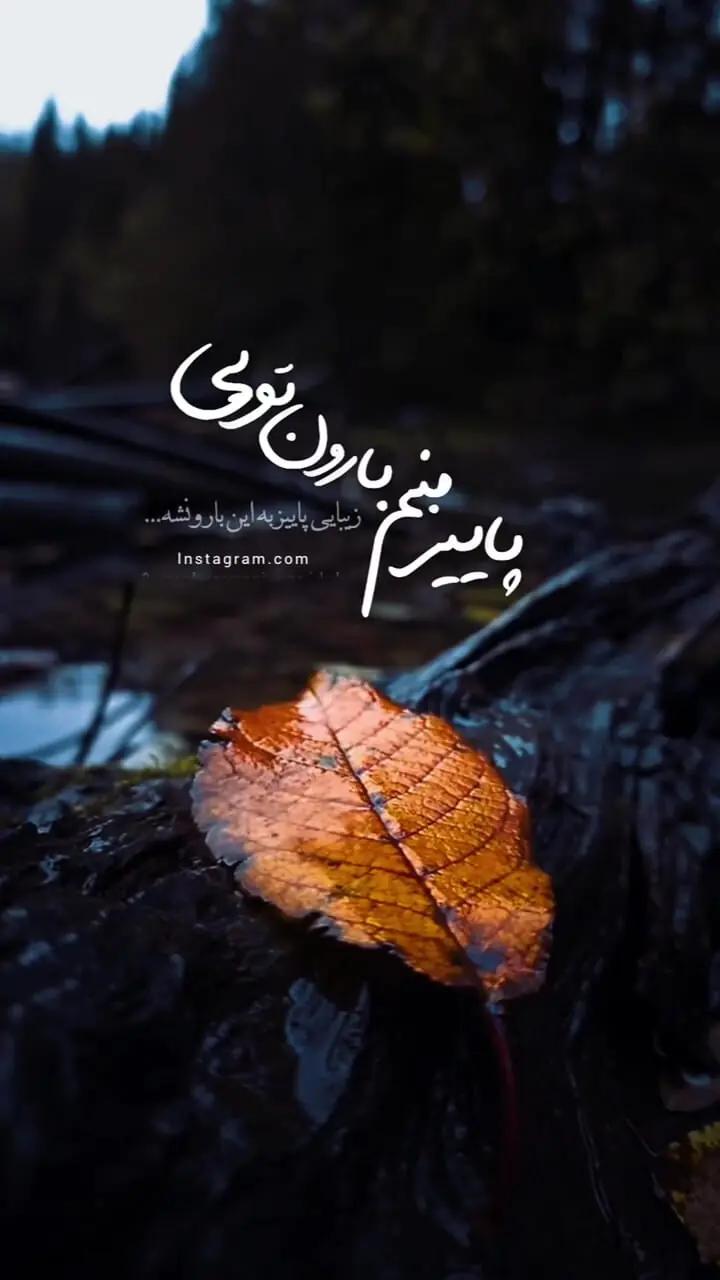 فال چای + فیلم