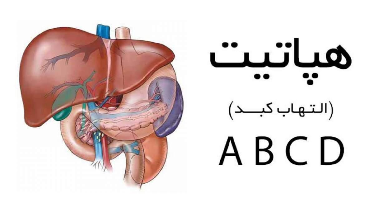 فیلم/ بیماری هپاتیت چیست؟