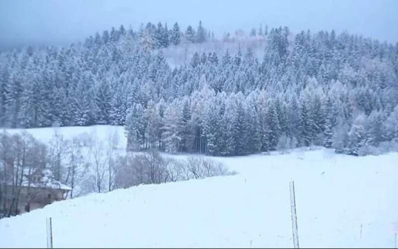 ورود سرمای قطبی به اروپافیلم