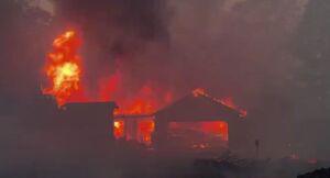 فیلم/ ادامه آتش‌سوزی  در بخش‌های جنگلی منطقه «چیکو» در ایالت «کالیفرنیا»